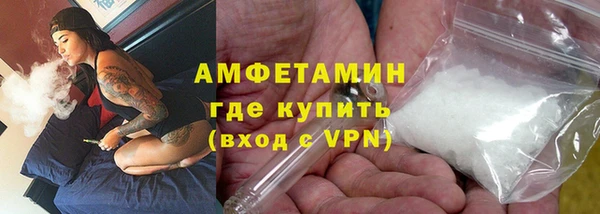 гидра Богданович