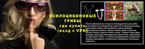 2c-b Богородск
