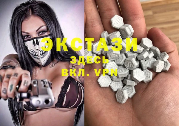 гидра Богданович