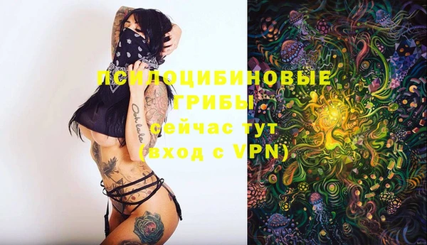 гидра Богданович