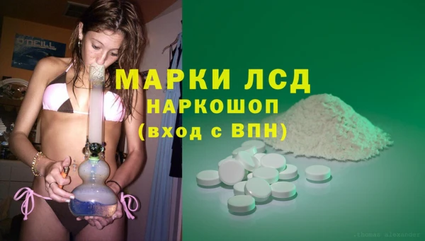 гидра Богданович