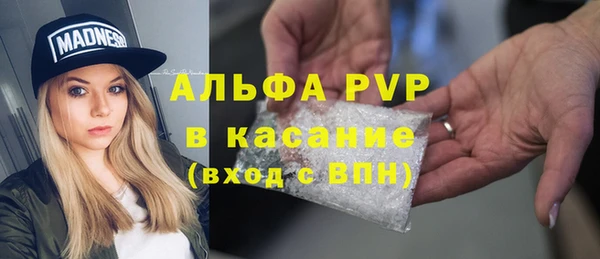 гидра Богданович