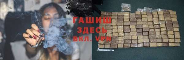 гидра Богданович