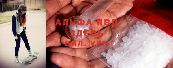 гидра Богданович