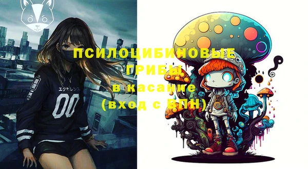 гидра Богданович