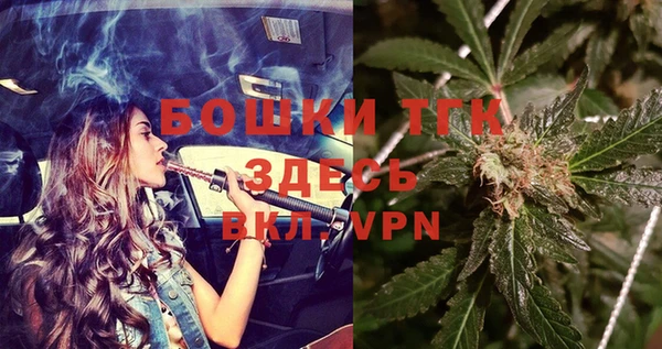 гидра Богданович