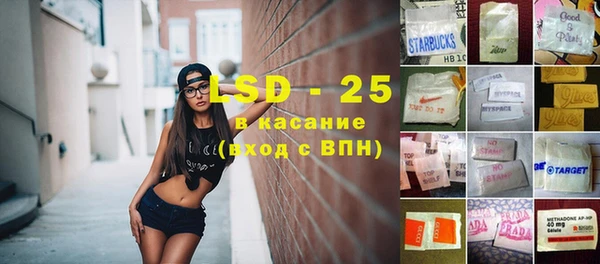 гидра Богданович