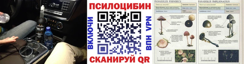 Купить где  Калуга  Галлюциногенные грибы Psilocybine cubensis 